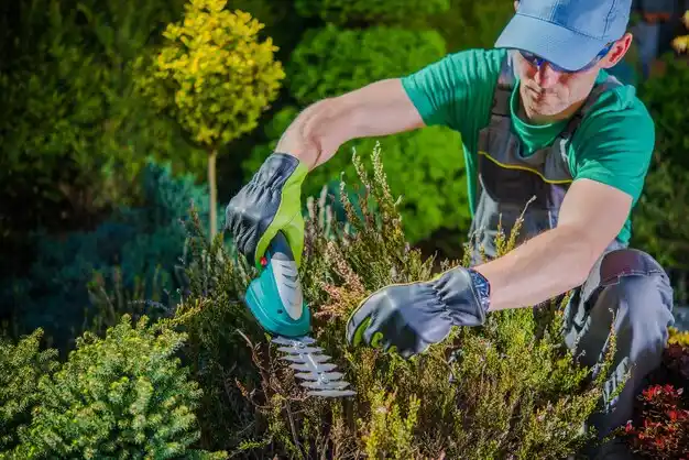 landscaping services Sharon Springs